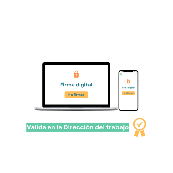 Plan pro anual